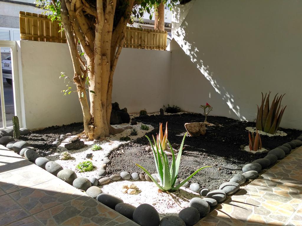 Greentree House Corralejo Exteriér fotografie